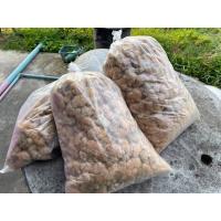 ราคา ฝ้ายตุ่น ฝ้ายสีน้ำตาล ดอกฝ้ายพร้อมเมล็ด ขนาด 1 กิโลกรัม (20616833682)