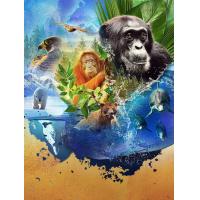 ราคา หนัง DVD ออก ใหม่ Animal Season 2 2022 สัตว์มหัศจรรย์ 2 4 ตอน เสียง ไทย อังกฤษ ซับ ไทย อังกฤษ DVD ดีวีดี หนังใหม่ (19843192906)