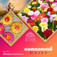 ราคา เทียนหอม ชุดเครื่องสักการะ เทียนดอกไม้ กลิ่นดอกไม้ เทียนทีไลท์ จุดถวายเทพ หน้าหิ้งบูชา พระพิฆเนศ พระศิวะ พระแม่อุมา พระแม่ลักษมี (17309918720)