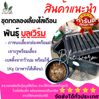 ราคา ชุดทดลองเลี้ยง ไส้เดือน บลูเวิร์ม ชุดผลิตมูลไส้เดือน ชุดเลี้ยงไส้เดือน แบบง่ายๆ สำหรับมือใหม่ ครบ จบ ในชุดเดียว Blue worm (20854056818)
