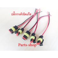 ราคา ปลั๊กหัวฉีด ปลั๊กโซลินอยด์ ปลั๊กโซลินอยด์หม้อต้ม ปลัักรางหัวฉีด ใส่ได้รางหัวฉีดหลายยี่ห้อเช่น AtikerEnergy ReformversusRail IG1 Valtek และอื่นๆ (17188115170)