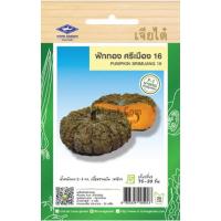 ราคา เมล็ดพันธุ์ ฟักทอง ศรีเมือง 16 ตราเจียไต๋ (20683852038)