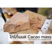 ราคา โกโก้แมส ระยอง Cacao mass Chocolate mass Rayong origin (18344826343)