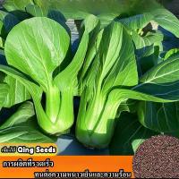 ราคา พร้อมส่ง เมล็ดกะหล่ำปลีสด 100 บรรจุ 200 เมล็ดกะหล่ำปลีปลูกง่าย เมล็ดกะหล่ำปลีสีเขียวสำหรับปลูก เมล็ดกะหล่ำปลีสีเขียวสำหรับปลูก เมล็ดกะหล่ำปลีสีเขียวสำหรับปลูก เมล็ดกะหล่ำปลีสีเขียวสำหรับปลูก (21110926