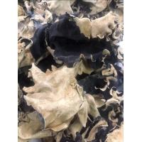 ราคา เห็ดหูหนูช้าง หน้าขาว หลังดำ ขนาด 500 กรัม (7798866400)