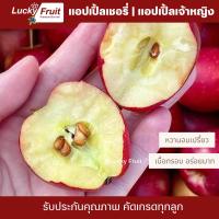 ราคา แอปเปิ้ล แคระ แอปเปิ้ลเชอรี่ แอปเปิ้ล เจ้าหญิง 500g x 10 แพ็ค รวม 5 กก (20566901190)