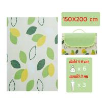 ราคา เสื่อปิคนิค เสื่อปิคนิคกันความชื้น หนากันน้ำ เสื่อปิกนิกตั้งแคมป์ปิกนิกผ้า (20864191398)