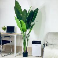 ราคา ต้นกล้วยใบพัด ต้นกล้วยป่า เหมาะสำหรับประดับตกเเต่งบ้านเเละสวน วัสดุอย่างดีดูเป็นธรรมชาติ ราคาถูก Plant L LRJ (19990279049)