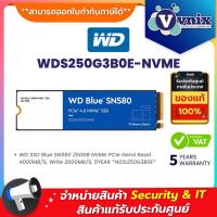 ราคา WD WDS250G3B0E NVME 250 GB SSD เอสเอสดี WD BLUE SN580 PCIe 4x4 NVMe M 2 2280 By Vnix Group (20944316299)
