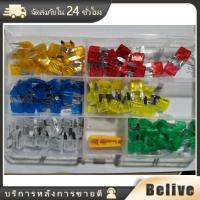 ราคา ราคาถูกฟิวส์รถยนต์ฟิวส์ก้ามปู ฟิวส์เสียบเล็กฟิวส์เสียบ (20696183854)