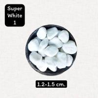ราคา หินสีขาว super white 1kg หินโรยกระถาง หินโรยพื้น หินแต่งสวน หินตู้ปลา (20866038408)