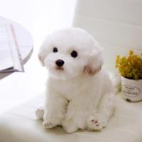 ราคา 9 Kinds Dog Simulation Bichon Frise Plush Dog Toy Super Cute Likelife Corgi Dog Doll Stuffed Animal Maltese Dog Puppy Pets Toys (13488708441)