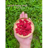 ราคา ราบเบอร์รี่อบแห้ง ราสเบอร์รี่ Freeze dried ขนาด 5 กรัม (20581524602)