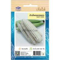 ราคา เมล็ดพันธุ์ ข้าวโพดแปดแถว ตราเจียไต๋ (20681060017)