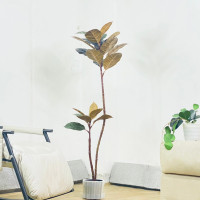 ราคา ต้นยางอินเดียแดง ต้นยางอินเดียดำ มี 2 แบบ พร้อมกระถางดำยกชุด ต้นไม้แต่งบ้านเหมือนจริง ต้นไม้ปลอม ต้นไม้สวยๆ ต้นไม้มินิมอลพร้อมส่ง Plant L YDR (20562802123)