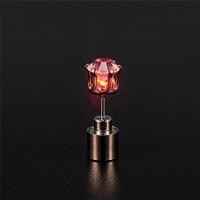 ราคา Ellei ต่างหูพลอยเทียมแท่งพังก์สุดเท่ห์ต่างหูมีไฟ LED สะท้อนแสงสำหรับผู้หญิงต่างหูเม็ดเพชรแบบเรืองแสง (12865746316)