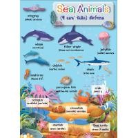 ราคา โปสเตอร์ภาพ A4 แผ่นความรู้ คำศัพท์เกี่ยวกับสัตว์ทะเล Sea Animals (21227529801)