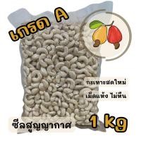 ราคา ส่งไว เกรดA เม็ดมะม่วงหิมพานต์เม็ดเต็ม แบบดิบ 1kg เม็ดสดใหม่ ไม่เหม็นหืน เม็ดไทย ส่งตรงจากสวนกะเทาะเอง (21114094363)