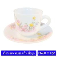 ราคา ชุดแก้วกาแฟเนื้อมุก 8 ออนซ์ พร้อมจานรองแก้ว ถ้วยกาแฟ แก้วมุก PEARL Opal Glass Coffee Tea Cup with Saucer x 1 ชุด (1172636091)