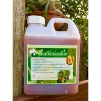 ราคา จุลินทรีย์หน่อกล้วย บรรจุ 1 ลิตร หน่อกล้วยสารพัดประโยชน์ ช่วยปรับปรุงดิน ย่อยสลายเศษซากอินทรีย์วัตถุ ช่วยกำจัดเชื้อรา (7777960598)