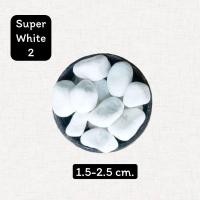 ราคา หินสีขาว super white 200กรัมและ500กรัม หินโรยกระถาง หินโรยพื้น หินแต่งสวน หินตู้ปลา (20866254314)