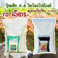 ราคา ชุดคู่ปุ๋ยเอบี แบบแห้ง AB เอบี แบบผง ปุ๋ยไฮโดรโปนิกส์ น้ํานิ่งน้ำวน ปุ๋ยผักHydroponics ขนาด 10 ลิตร ปุ๋ยสารละลายเอบี แถมคู่มือ (19132241014)