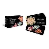 ราคา ไพ่แท้ The Language of Flowers Mini Inspiration Cards ทาโร่ ทาโรต์ ออราเคิล flower petals tarot oracle card (19381761709)