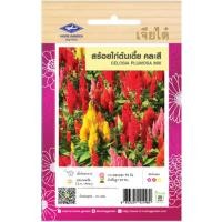 ราคา เมล็ดพันธุ์ สร้อยไก่ต้นเตี้ย เจียไต๋ (20669819791)