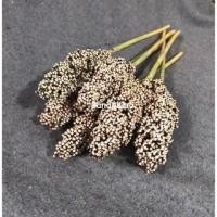 ราคา ข้าวฟ่าง ดอกข้าวฟ่าง สีขาว ข้าวฟ่างเม็ด ดอกเลา ดอกไม้แห้งพร๊อพถ่ายภาพ ตกเเต่งบ้าน ตกเเต่งร้านดอกไทยดอกไม้แห้ง 1ดอก (17044048754)