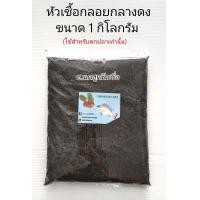 ราคา หัวเชื้อตกปลา 1 กิโลกรัม หัวเชื้อตาล หัวเชื้อมะขวิด หัวเชื้อกลอย หัวเชื้อกลางดง เหยื่อปลา เหยื่อตกปลา เหยื่อตกปลานิล (16610674189)