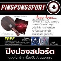 ราคา ไม้ปิงปอง XVT Ebenholz 7 ยางปิงปอง Gewo Neoflex eft 48 รับเพิ่มฟรี ยางปิงปอง Loki Arthur 1 แผ่น (4357160347)