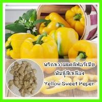 ราคา พร้อมส่ง รหัส 168 เมล็ดพันธุ์ พริกหวานแคลิฟอร์เนียสีเหลือง Yellow Sweet Pepperเมล็ดดอกไม้ ดอกไม้ปลูกสวยๆ เมล็ดพันธุ์ผัก (10937621167)