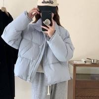 ราคา แจ็คเก็ตขอบเฟอร์ฤดูหนาวเสื้อโค้ทสีดำอบอุ่นรุ่นพื้นฐานสำหรับผู้หญิงเสื้อคลุมขนเป็ดบุนวมลำลองสำหรับฤดูใบไม้ร่วง (19610370828)