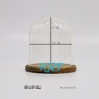 ราคา ครอบแก้ว ฐานลายไม้ ฝาครอบกระจก โดมแก้วพร้อมฐาน โหลแก้ว โดมแก้ว ครอบหน้ารถ ตู้กลม GlssDome ครอบกลม ขวดแก้ว ตู้ครอบพระ (1367504180)