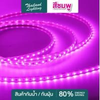 ราคา ชุด 5 เมตร 10 เมตร ไฟเส้น 4040 LED แสงขาว วอร์ม แดง น้ำเงิน เขียว ชมพู ฟรีพร้อมปลั๊กเสียบไฟบ้าน ไฟสายยาง LED ROPE LIGHT AC 220V ไฟบ้าน (19418370657)