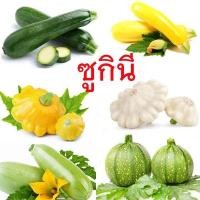 ราคา ซูกินี ทุกพันธุ์ ถูกที่สุด10บ เมล็ดพันธุ์ซูกินีทุกพันธุ์ 3 5 เมล็ด งอกง่าย โตไว ลูกดก ทานอร่อย (20798392546)