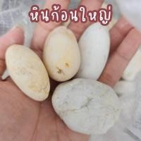 ราคา ยกกระสอบ 6 7กิโล หินแม่น้ำ หินขาว หินกรวด หินธรรมชาติ หินโรยกระถาง หินตกแต่งสวน หินตกแต่งตู้ปลา หินโรยพื้น หินโรยสนาม (20000507522)