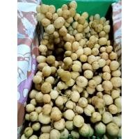 ราคา ลางสาดหวานเมืองลับแล น้ำหนัก 500 กรัม (15959715185)