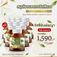ราคา ซื้อ 1แถม1 390บาท ริชชี่พิมพ์พญา ริดสีดวงทวารชายและหญิง ริดสีดวงทวารภายในและภายนอก ส่งฟรี เพชรสังฆาต ส่งฟรี มีเก็บเงินปลายทาง (17037258746)