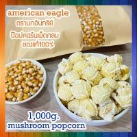 ราคา เมล็ดป๊อปคอร์นทรงกลม 100 Mushroom popcorn ข้าวโพดป๊อปคอน ข้าวโพดทำป๊อปคอร์น mushroompopcorn ป๊อบคอร์นมัชรูม จำนวน 1000 กรัม (20034057203)