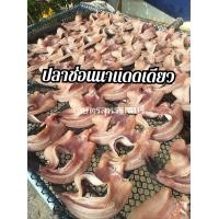 ราคา ปลาช่อนนา ปลาช่อนนาแดดเดียว นาแท้ๆ จาก อ บางปลาม้า จ สุพรรณ (17621250904)