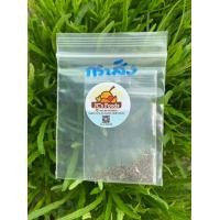 ราคา เมล็ดพันธุ์กระสัง ใบผักกระสังที่ทำให้แหลกแล้ว สามารถนำมาใช้เป็นยาแก้ไข้ แก้อักเสบได้ ซองละ 29 บาท (17779794298)