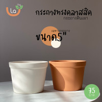 ราคา กระถางดินเผาทรงทรงคลาสสิค มีขอบเล็ก กระถางต้นไม้มี3ขนาด (11171924429)