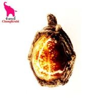 ราคา ช้างกระบี่ พระเครื่อง เบอร์059 เครื่องราง เบี้ยแก้คุณไสย์ หลวงปู่เจือ วัดกลางบางแก้ว ถักโบราณ (1749464717)