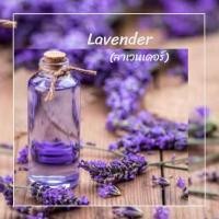 ราคา C ALCHEMY เทียนหอม อโรม่า Aroma เทียนแก้ว เทียนทีไลท์ ทีไลท์ เทียนแก้วเป๊ก เทียนไล่ยุง เทียนไล่แมลง เทียนหอมแก้วเป๊ก เทียนสร้างบรรยากาศ กลิ่นตะไคร้หอม กลิ่นลาเวนเดอร์ ใช้นาน 8 9 ชม 45 55 g (2042872225