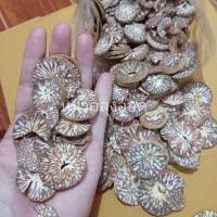 ราคา หมากหั่น หมากแว่น 200 500g หมากแผ่น หมากอีแปะ หมากแห้ง หมากขาว หมากสไลด์ หมากพลู (19695549047)