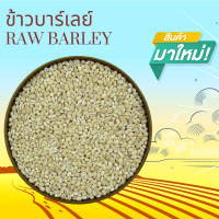 ราคา ข้าวบาร์เลย์ดิบ 1 กิโลกรัม Raw Barley 1 kg (9973493351)