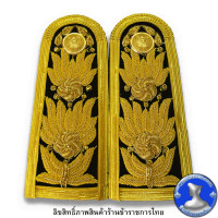 ราคา อินทรธนูข้าราชการพลเรือน อินทรธนูสำหรับเครื่องแบบพิธีการ ชุดขาว (17345389702)