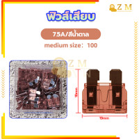 ราคา ฟิวส์เสียบ ขนาดจิ๋ว เลือกขนาด 5 7 5 10 15 20 25 30 แอมป์ ฟิวส์ ฟิวส์รถยนต์ ฟิวส์มอไซ ฟิวส์มอเตอร์ไซค์ ฟิวส์ก้ามปู ฟิวส์ขนาดกลาง จำนวน 100ชิ้น (20970038743)