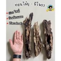 ราคา ท่อนไม้ผุ ไซส์ใหญ่ 2 ชิ้น มีโพรงสำหรับisopod จัดสวน Kaset Ban Gie (20234969892)